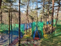 영양군, 흥림산자연휴양림 놀자숲 조성