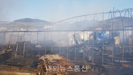달성군 논공읍 토마토농장 화재