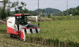 고흥군, 소규모 농가 한시 경영지원 바우처 30만원 지급