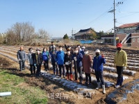 학성동 자생단체연합회, 봄꽃 식재 및 이웃사랑 활력화 사업 전개