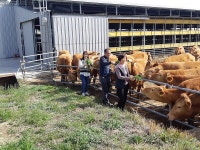 해남군 만희농장, 전국1호 한우 동물복지축산농장 인증