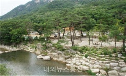 월악산국립공원에서 즐겁고 안전한 캠핑 즐기세요!