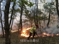 [1보]대구 북구 사수동 뒷산 화재