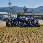 아름다운 행구동 만들기 꽃길 조성