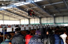 충북도, 종축장 한우 청주 가축시장에서 만나요