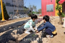 단샘유치원, 흙의 소중함 체험 ... 텃밭 가꾸기 실시