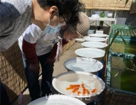 우리난주연구회 연구소 2기 운영개시, 국산 난주 활성화 기여 할 것