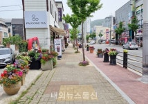 충주시, 도심 거리를 알록달록 꽃으로 물들인다