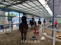 용인시, 청소년 대상 승마체험 참가 신청‧접수...1700명 추첨 선정