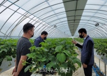 충주시농업기술센터, 청년창업농 경영컨설팅 추진