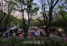 언택트 캠핑명소로 단양 캠핑장 큰 인기!