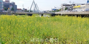충주시 성내충인동, 장도 보고 꽃도 보고 힐링도 하세요~!!