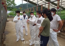 음성군, 맞춤형 종합컨설팅으로 한우농가 애로기술 해결!