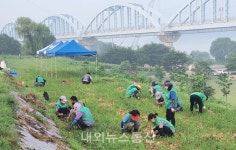 충주시 목행용탄동 새마을회, 사랑 나눔 양파 수확