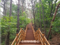 용인시, 법화산 노후 등산로 정비...구성동 행정복지센터~법화터널~정상 2.5km 구간