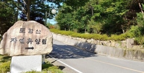경주 토함산자연휴양림에 판타지 경주 조성...주·야간 체험형 관광시설