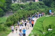 평창군 봉평면건강위원회와 함께 100리길 따라 걷기