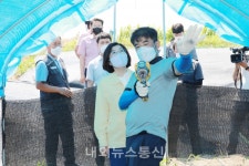 안성시, 농축산 폭염 피해 최소화 총력