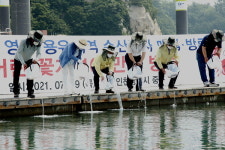 인천 중구, 을왕~왕산해역에 어린꽃게 약 103만미 방류