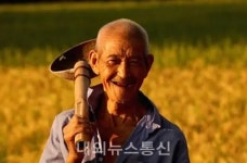 농협평창군지부·대관령농협, 혹서기 온열질환 예방을 위한 농업인 안전관리 캠페인 실시