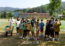 충주 수안보초등학교, 옥수수 미로 조성 눈길