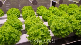 부산시 농업기술센터, 수직농장 기술 보급에 앞장서