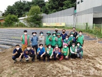 대월면 새마을협의회 사랑의 배추모종심기행사 가져