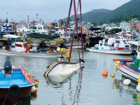 통영해경, 사천시 팔포항 계류중인 침수선박 안전조치