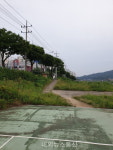 동두천시, 강변로 신천변 이면 자전거도로 관리 엉망 자칫사고 유발