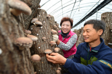 내농장 내컨셉(Concept) 홍보로 밀양농업 코로나 극복한다