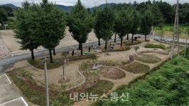 음성군, 오선초등학교 학교 숲 조성 사업 완료