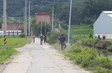 삼랑진읍 칠우회, 백일홍 수목관리에 나서