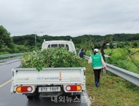 충주시 동량면새마을협의회, 능금나무 가로수길 정비