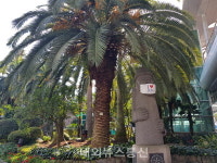 제주도 추석연휴 제주120만덕콜센터 정상운영