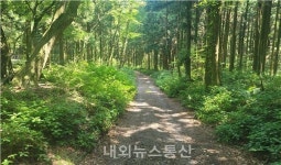 제주시, 올해 국유임도시설사업(교래임도) 추진