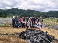평창군 방림면사무소 직원·이장협의회, 코로나로 어려운 농촌 일손돕기 나서