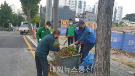 일산동 자생단체, 가을맞이 꽃길 조성