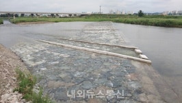 영천시, 자호천 생태하천으로 변모··· 복원사업 완료