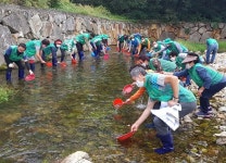 여수시 삼일동 새마을회, 상암천 생태계 복원 위해 미꾸라지 방류