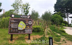 산림청, 무궁화동산 사업지 선정...무궁화 보급·진흥사업 지속 추진할 것