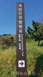 계양산성 주변 등산로 정비사업 추진