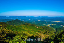 산림청, 10월의 국유림 명품숲, 고창 문수산 편백숲 선정