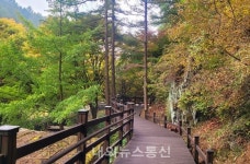 음성군, 누구나 누리는 산림복지 구현 박차