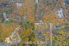 [포토]증평 좌구산 단풍 발길 이어져