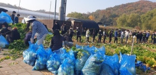 계양구자원봉사센터, 농작물 수확의 기쁨과 나눔 실천
