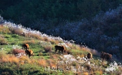 신동희 씨, 홍천관광사진공모전 금상...홍천 비경과 관광지 작품 많아 고무적