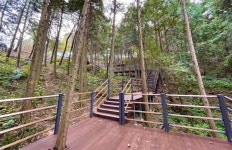 진주시, 진양호공원 편백숲 힐링 쉼터 조성