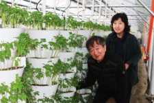 새싹삼영동매곡농장 정은순 대표