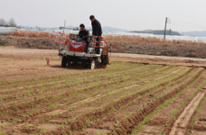 대동공업, 천안대리점 개점