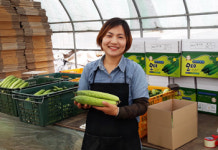 공기 맑은 병천에서 친환경 오이 생산해요